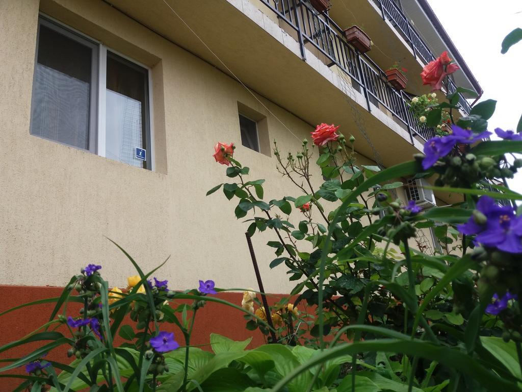 Vila Albatros Vama Veche Exterior photo